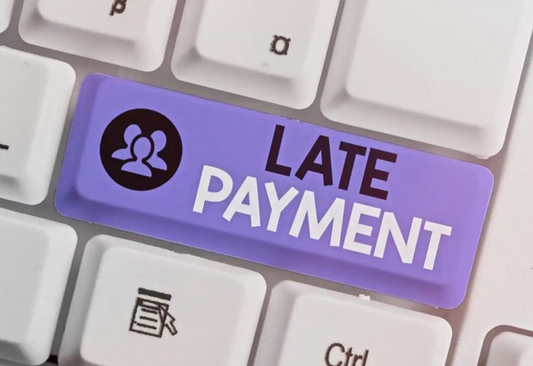 LATE PAYMENT REMOVAL